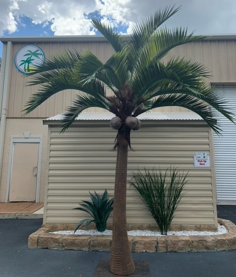 <p>15' Coconut Palm</p>                          